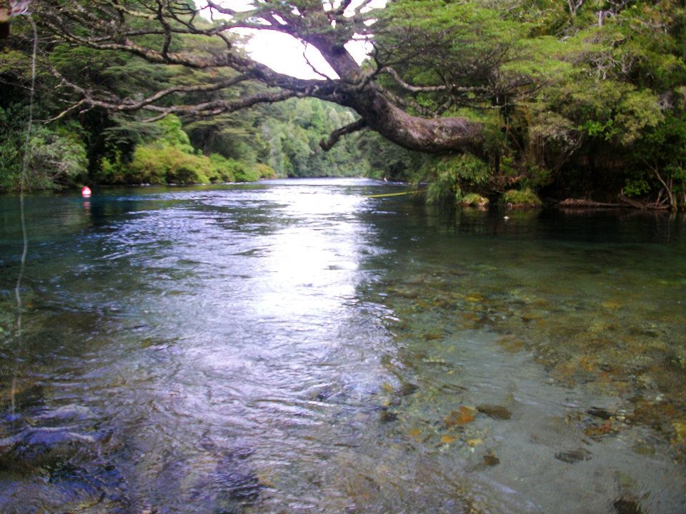 Parque Nacional Huerquehue - AndesCampers