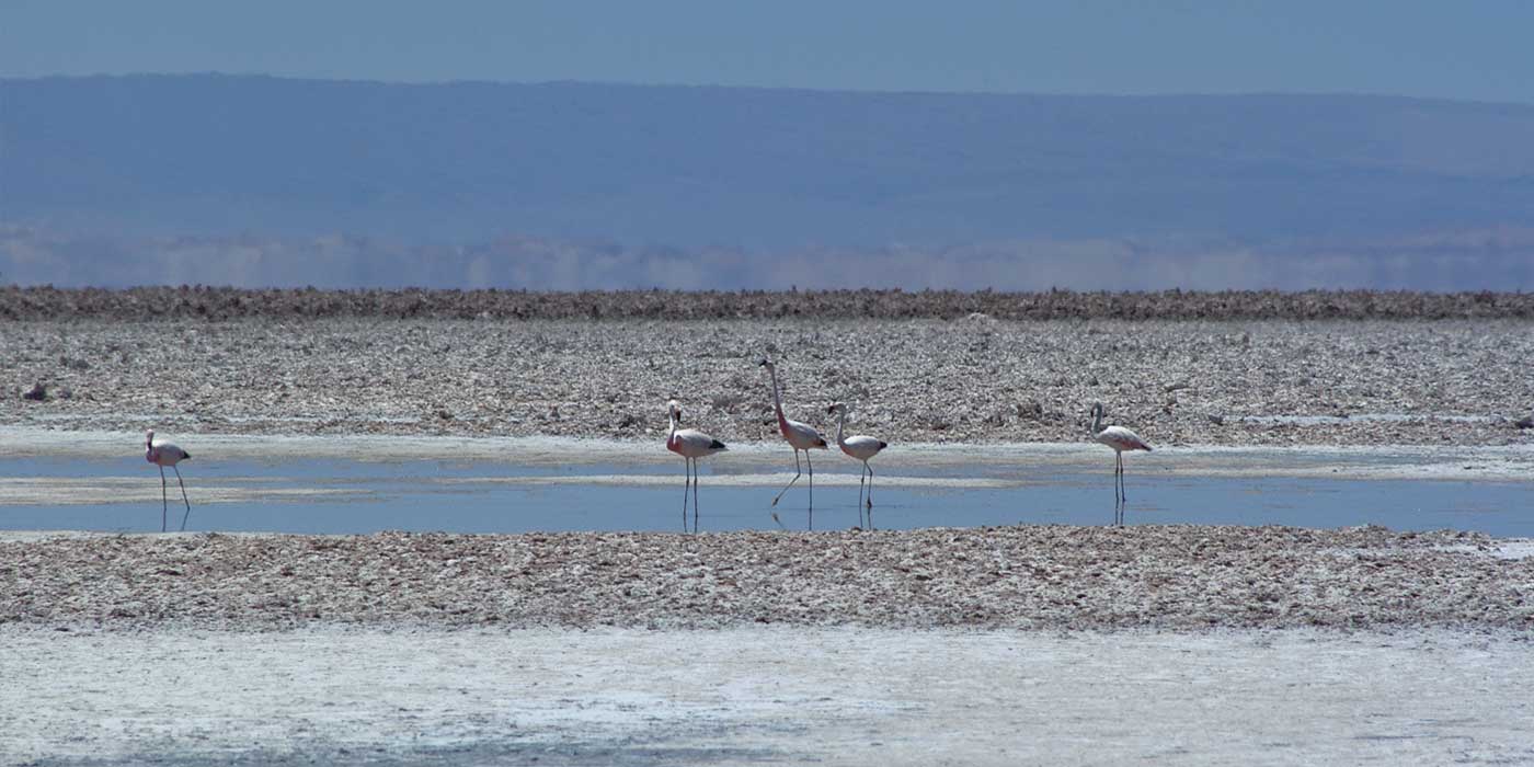 San Pedro de Atacama - Andes Campers - Chile.
