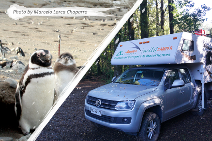 ENTREGA punta arenas oferta campervan Andes Campers