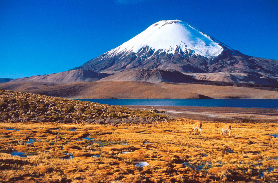 Parque Nacional Lauca - Chile - AndesCampers