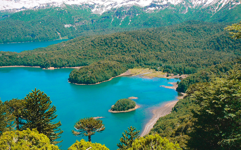 Conguillío National Park - AndesCampers.cl