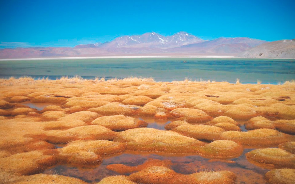 Nevado Tres Cruces National Park - AndesCampers.cl