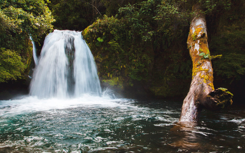 Puyehue National Park - AndesCampers.cl