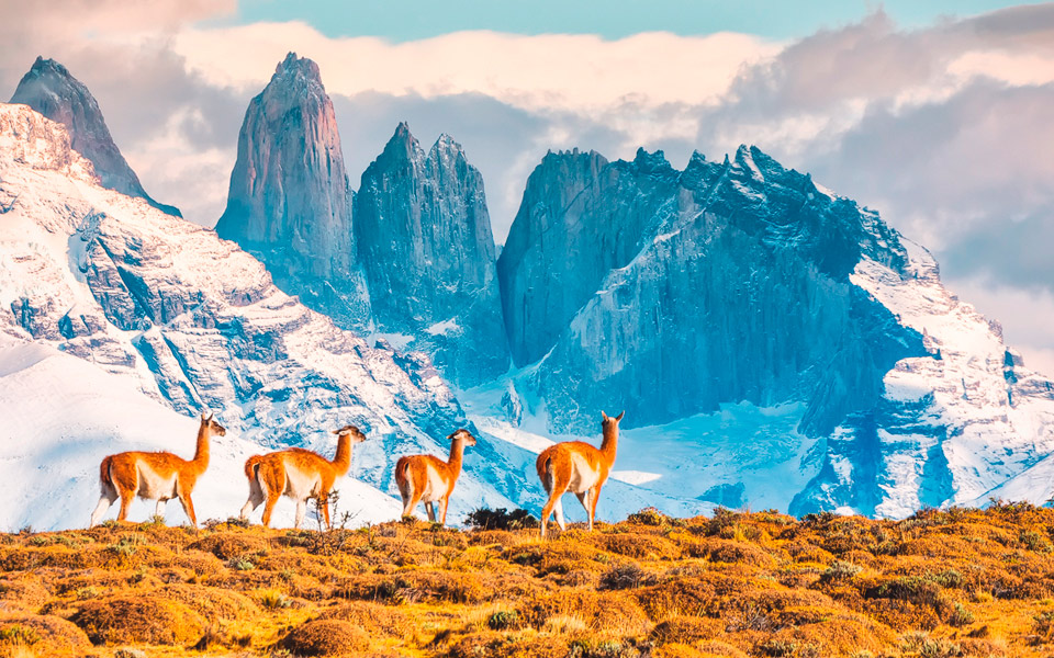 Parque Nacional Torres del Paine